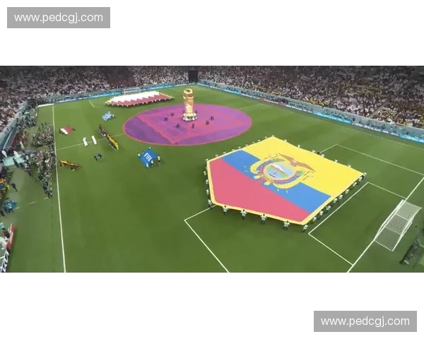 以卡塔尔为中心解读2022世界杯的举办背景与全球影响深度解析