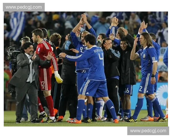 2010年世界杯阿根廷队精彩表现与球星风采全解析